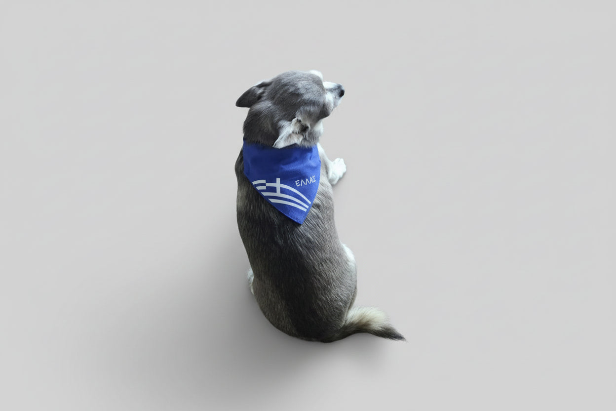 Greek Dog Cat  Bandana