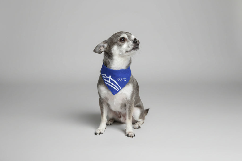 Greek Dog Cat  Bandana