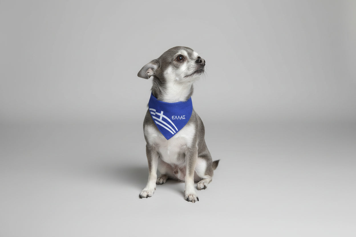 Greek Dog Cat  Bandana