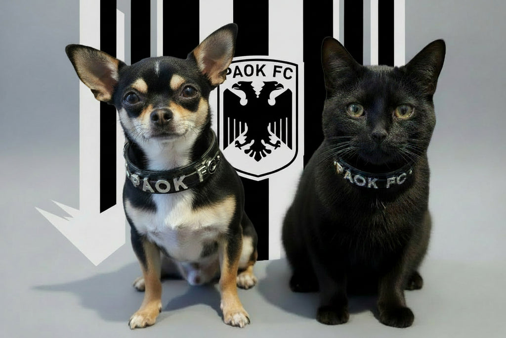 PAOK FC Pack