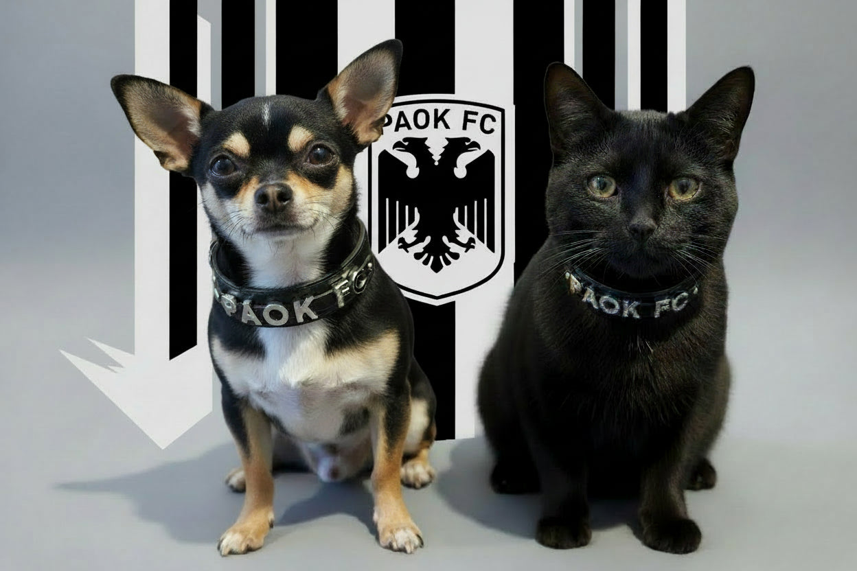 PAOK FC Pack