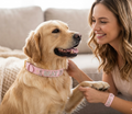 Beat IT Dog Collar