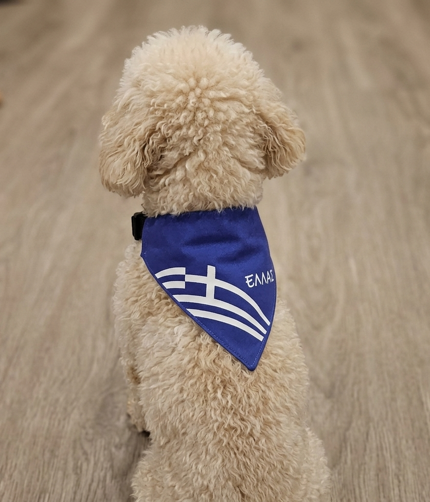 Greek Dog Cat  Bandana